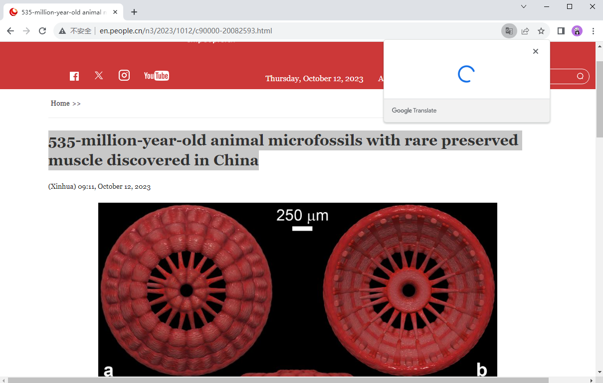 谷歌浏览器普通版截图5