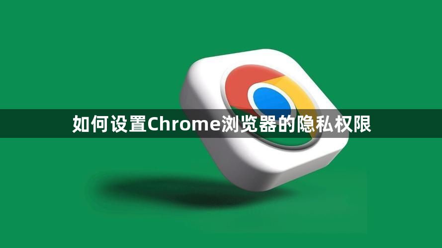 如何设置Chrome浏览器的隐私权限1