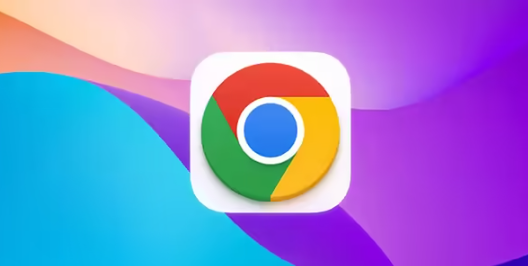 如何解决Google Chrome下载后卡顿的问题1
