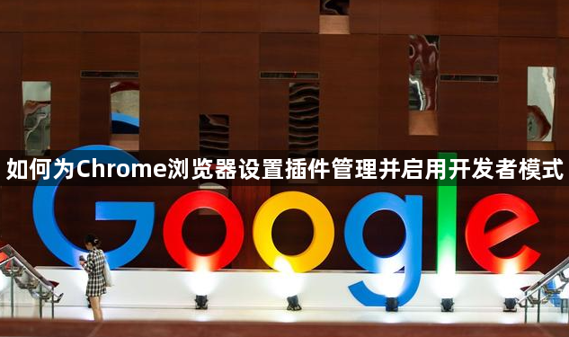 如何为Chrome浏览器设置插件管理并启用开发者模式1