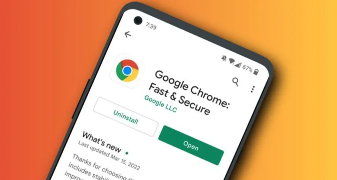 谷歌Chrome浏览器插件动态加载资源失败的解决路径1