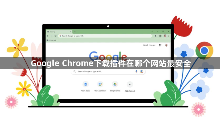 Google Chrome下载插件在哪个网站最安全1