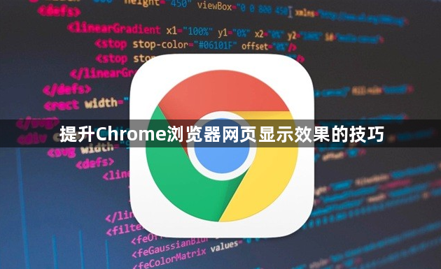 提升Chrome浏览器网页显示效果的技巧1