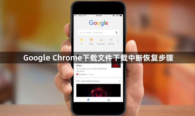 Google Chrome下载文件下载中断恢复步骤1