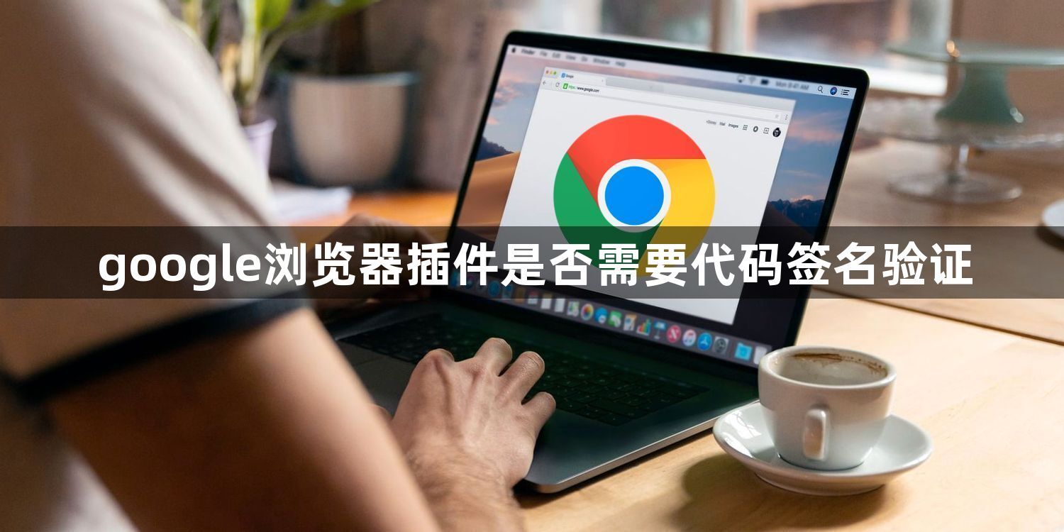 google浏览器插件是否需要代码签名验证1
