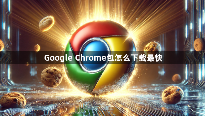 Google Chrome包怎么下载最快1