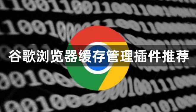 谷歌浏览器缓存管理插件推荐1