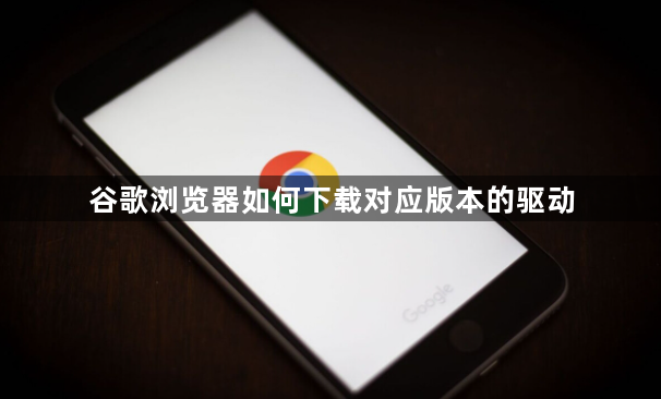 谷歌浏览器如何下载对应版本的驱动1