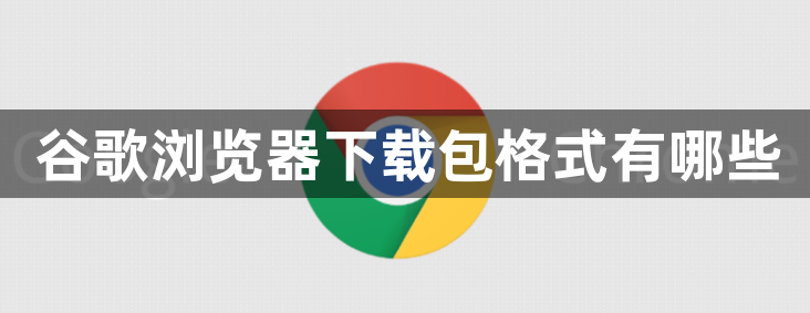 谷歌浏览器下载包格式有哪些1