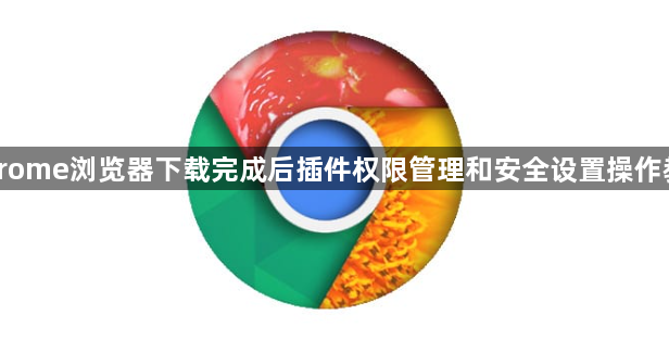 Chrome浏览器下载完成后插件权限管理和安全设置操作教程1