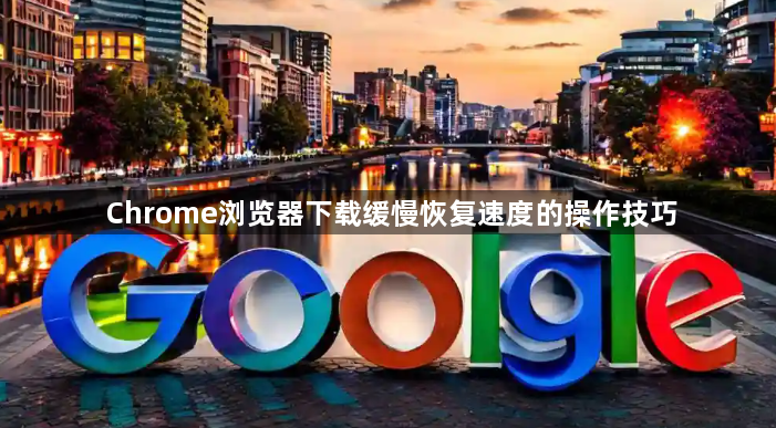 Chrome浏览器下载缓慢恢复速度的操作技巧1