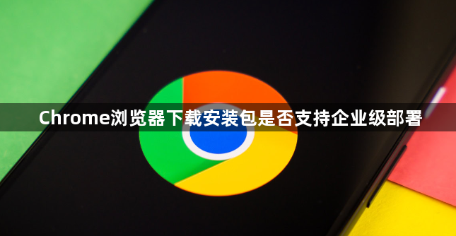 Chrome浏览器下载安装包是否支持企业级部署1