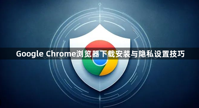 Google Chrome浏览器下载安装与隐私设置技巧1
