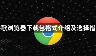谷歌浏览器下载包格式介绍及选择指南1