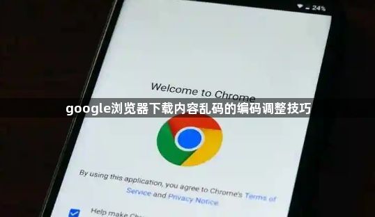 google浏览器下载内容乱码的编码调整技巧1