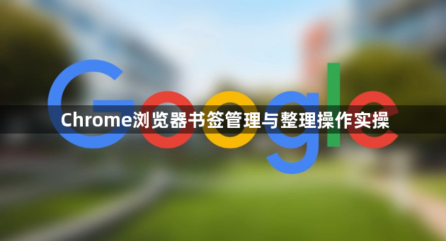Chrome浏览器书签管理与整理操作实操1