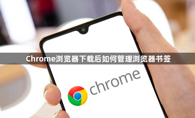 Chrome浏览器下载后如何管理浏览器书签1